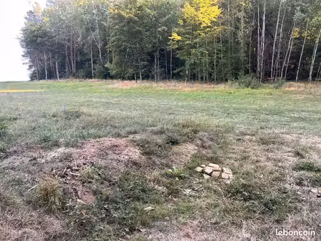 vente terrain en bordure de forêt