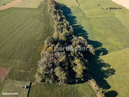 terrain 3020 m² guinecourt