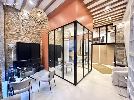 local 55 m² lyon