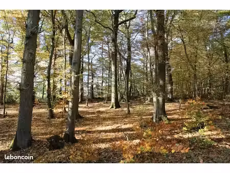 terrain bois forêt 75/ mois pendant 60 mois vente à terme viager libre location accession