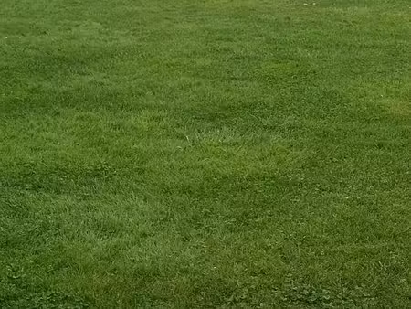terrain 500 m² le crotoy
