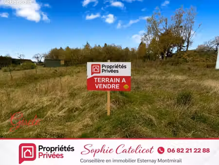terrain 1 050 m² sancy les provins