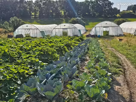 exploitation / corps de ferme / maraîchage biologique