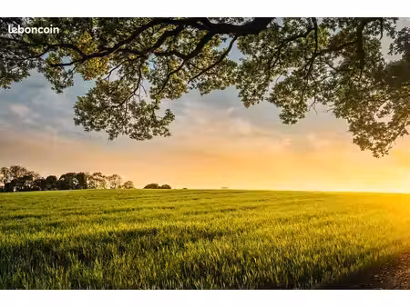 recherche terrain agricole