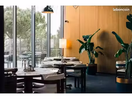 local restaurant 50 m²
