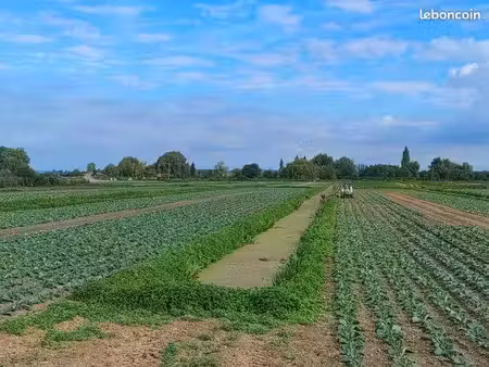 recherche terrain agricole pour exploitation maraîchère