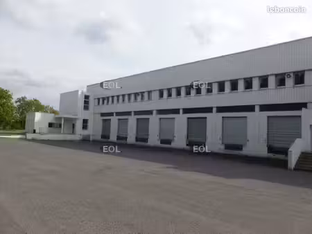 local logistique 5 378 m²
