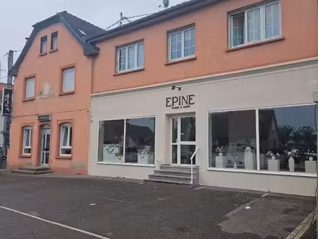 immeuble kingersheim 230 m²