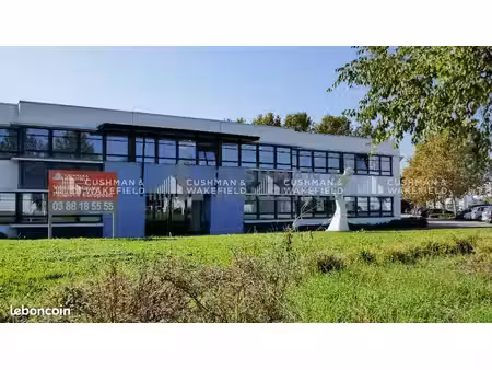 bureaux 176 m²