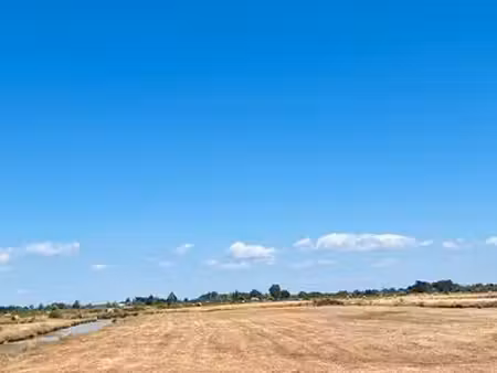 terrain de marais de 7 140 m²