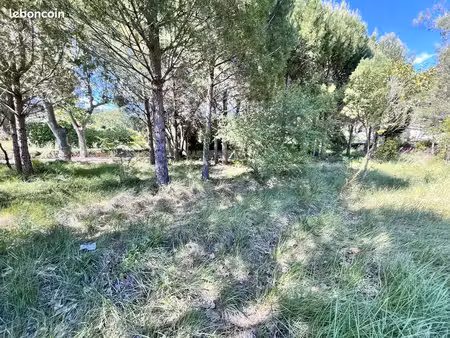 vends terrain constructible de 1000m2