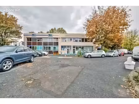 local d'activité torcy