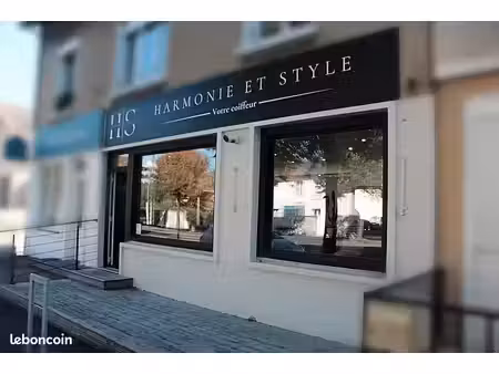 salon de coiffure harmonie et style