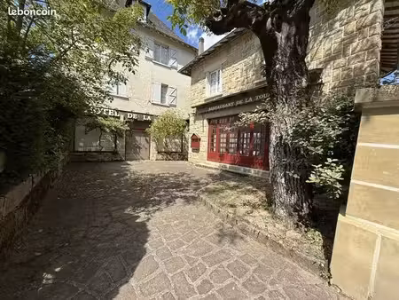 maison 30 pièces 1000 m²