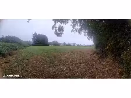 terrain constructible