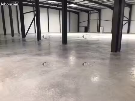 local d'activité 1 557 m²
