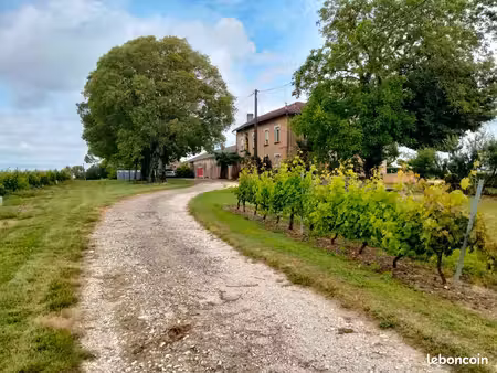 maison  dependances  vignes