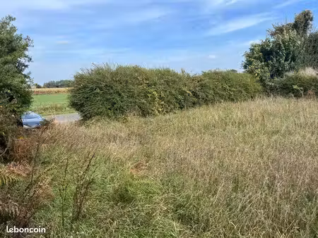 terrain agricole
