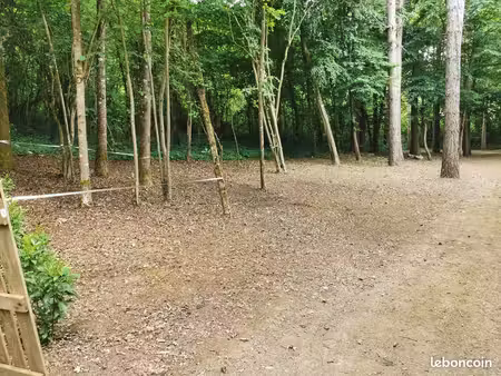 terrain bois