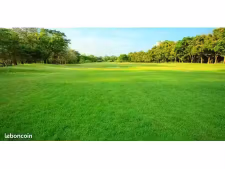terrain