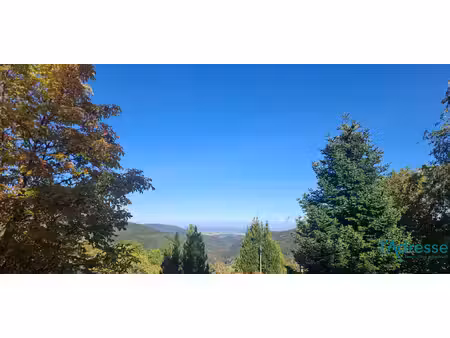 terrain labaroche 2366 m2
