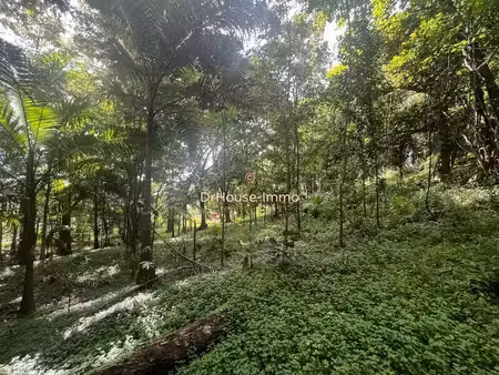 exclusivité bouillante - birloton vue mer dans un écrin verdoyant