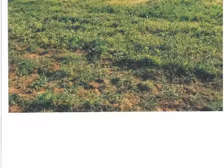 terrain agricole constructible