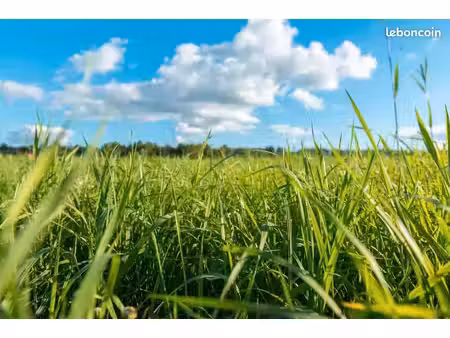 terrain 401 m² hourtin
