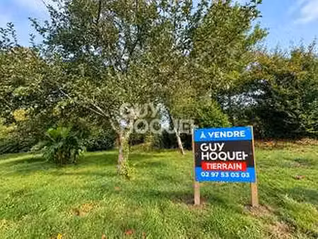 vente terrain à elven (56250) : à vendre / 410m² elven