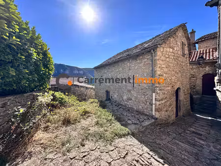 charmante maison en pierre à liaucous - mostuejouls - georges du tarn
