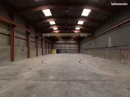 local d'activité 1 000 m²