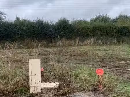 vente terrain 556 m² à chambellay (49220)  60 603 €