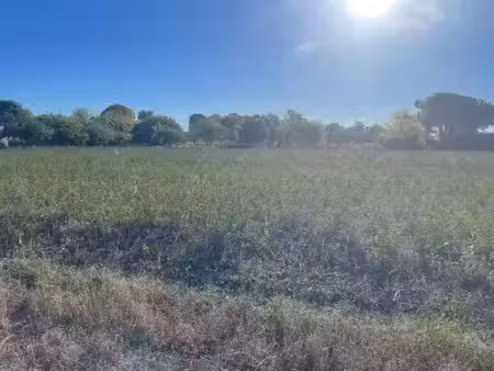 vente terrain 312 m² à saint-hippolyte (17430)  56 200 €