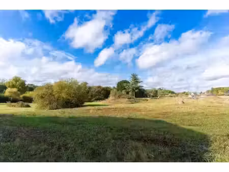 vente terrain 702 m² à chenonceaux (37150)  58 000 €