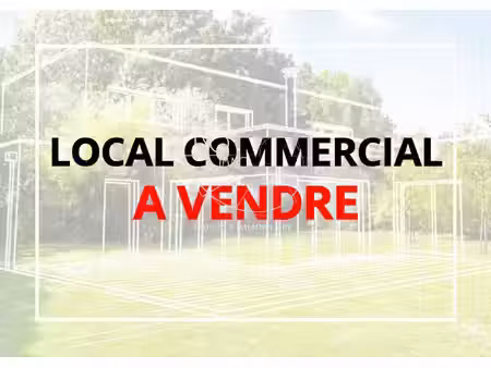 immobilier professionnel à vendre les sables-d'olonne