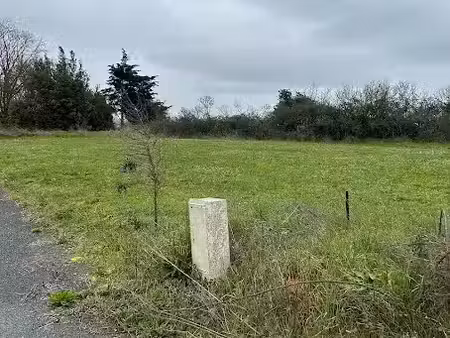 vente terrain 300 m² à saint-père-en-retz (44320)  66 500 €