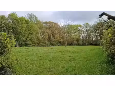 vente terrain 1000 m² à blaison-gohier (49320)  70 000 €