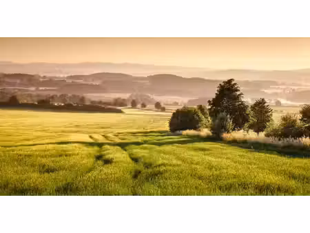 vente terrain 1035 m² à fontenailles (77370)  73 000 €