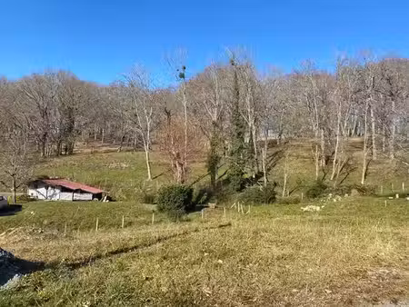 vente terrain 739 m² à salies-de-bearn (64270)  79 000 €