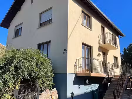 diefmatten : ensemble immobilier avec deux maisons et grande