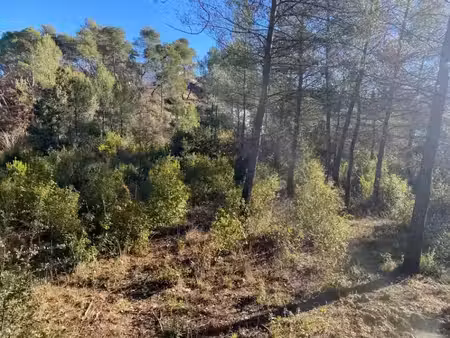 vente terrain 399 m² à brignoles (83170)  95 000 €