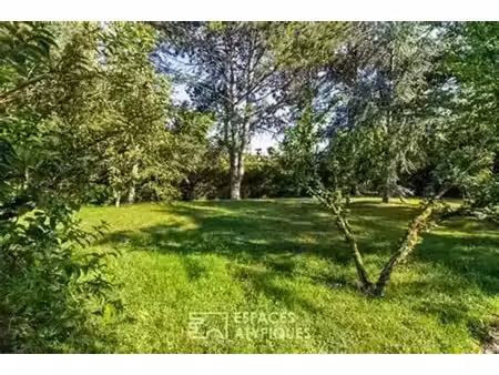 vente terrain 2000 m² à chatellerault (86100)  100 000 €