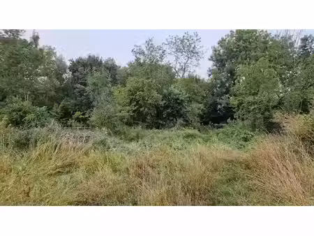 vente terrain 1010 m² à saint-jean-des-mauvrets (49320)  100 000 €