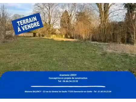 vente terrain 355 m² à dammartin-en-goële (77230)  125 000 €