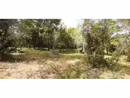 vente terrain 976 m² à flayosc (83780)  140 000 €