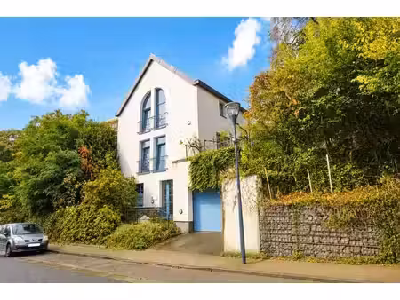 maison avec jardin et garage