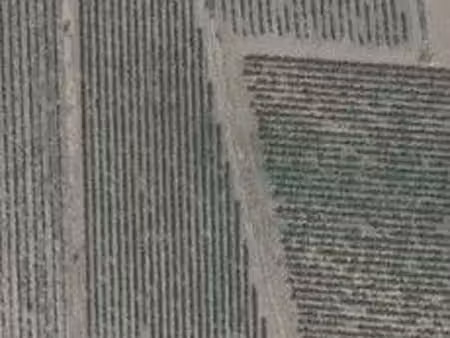 vends terrain agricole