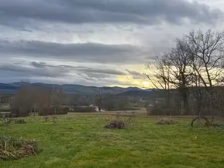 à vendre - terrain constructible 1028.00 m² situé à bort-l'étang (63190)