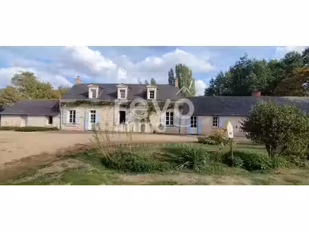 longere