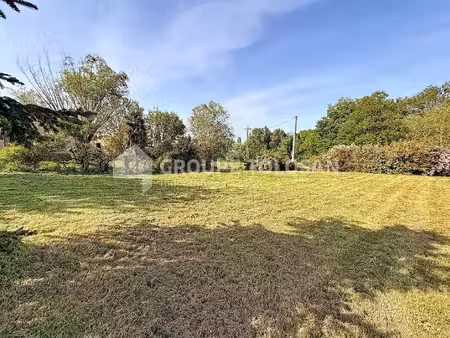 terrain
